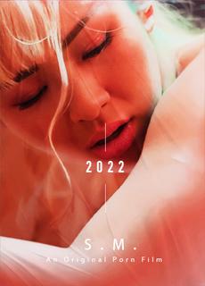 【大象传媒】BDSM调教系列-拘束x强制性交 Sj8