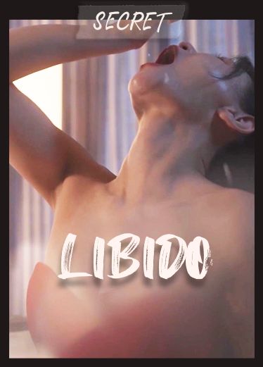 剧情向 女警下海 VfN